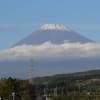 富士山と茶畑