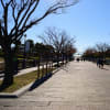 2016/12 葛西臨海公園