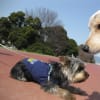 あの頃チャンネル(2009年03月22日～2009年03月28日)