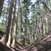 2012年4月28日　中山道徒歩の旅5（坂本宿～沓掛宿）（その1）