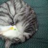 ふくちゃん　パート７