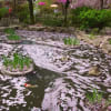 花筏・縮景園　180407