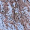 あの頃チャンネル(2013年04月01日～2013年04月30日)