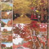 国営昭和記念公園の紅葉・黃葉