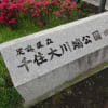 隅田川、千住大川端公園　曙・滝の広場・・・つつじ満開～散歩。