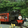 1984年　西武山口線おとぎ列車