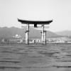 広島