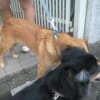 あの頃チャンネル(2009年08月09日～2009年08月15日)
