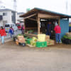 野菜販売と側溝の掃除