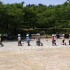 浜寺公園とバラ