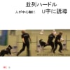 アジリティー技術（画像）分類試案改訂　追加画像