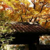 鎌倉瑞泉寺