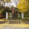 ５年前・岩殿観音大銀杏黄葉と常安寺黄葉　あの頃チャンネル(2007年12月02日～2007年12月08日)
