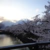 臼田⇒小諸⇒上田⇒松本　桜ウォーキング