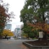 上野恩賜公園・・・紅葉の光景を楽しみました。