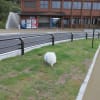 2013-08-17【関東の避暑地☆栃木県（霧降高原）】