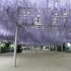 新しいチャンネル