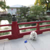 2013-02-11【九州旅行☆福岡県（太宰府天満宮）】