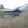 東福寺　on　2011-12-29