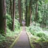 2020.6.20　加蘇山神社と古峰神社庭園