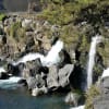 鮎壺の滝と楽寿園の菊花展