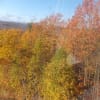 カナダ大紅葉ハイライト