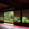 泉涌寺（雲龍院）と東福寺の青もみじ