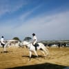 福岡県馬術競技場_141124