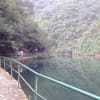 中国観光　黄山（黄山、宏村、他）