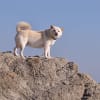 ｂｏｏ～海に遊ぶ *bpo のお話 ５