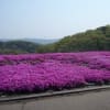栃木県市貝町