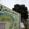 隅田川沿いを散歩散策～