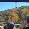 2012 旭岳・姿見の池園地の紅葉 その4