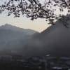 神山町上分・４月初旬の風景