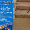 別府ポートフェスタ2010　別府餅ヶ浜里浜ビーチオープン