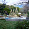 小石川後楽園　梅まつり