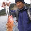 (2011年11月20日～2011年11月26日)