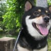 あすか　３歳のお誕生日　特集