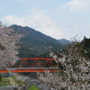 美山の春風景２０１３