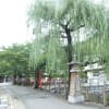 城崎にて、余部鉄橋にて、香住にて