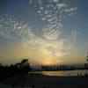 １０月のお台場散歩