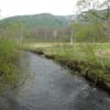 尾瀬・・・ヨッピ吊橋～東電小屋。