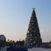 X'mas2011 inUSJ