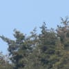 新しいチャンネル