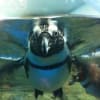 江ノ島水族館