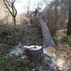 水戸市森林公園にてボランテイア活動
