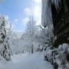 雪の奥飛騨「かつら木の郷」