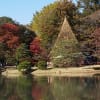 六義園の紅葉