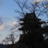 五斗長垣内（ごっさかいと）遺跡と洲本城址