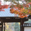 覚園寺の紅葉